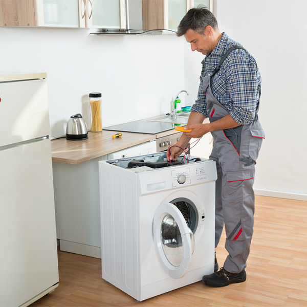 what are common issues that can arise with a washer in Lismore Minnesota